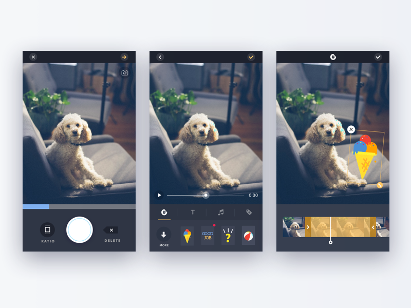 Pamily App - Shooting & Editing pet camera app video