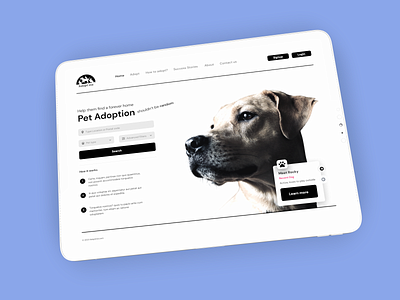 Pet Website design dogs experiment home page landing page pet adoption pet website ui ux web app web design wireframes