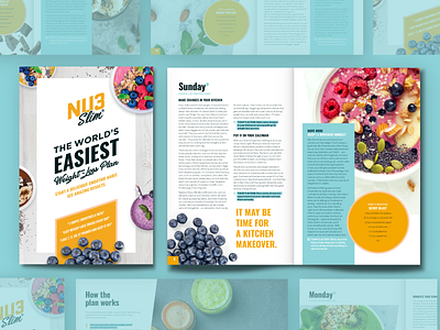 Nu3 :: Weight Loss Plan blue brochure calendar diet food health magazine orange plan print recipe smoothie wellness zine