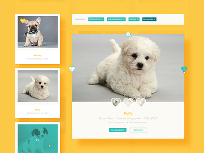 Happiness Is Pets :: Card Styles button button style card style dog graphic happy healthy heart hover pop up popup puppies search slider tags teal vet web web design yellow