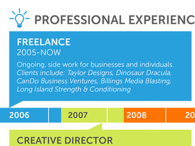 Professional Experience Timeline