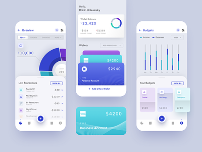 Budget planner app for iOS analytics app blue budget card finance fintech mobile app payment ui uiux ux wallet
