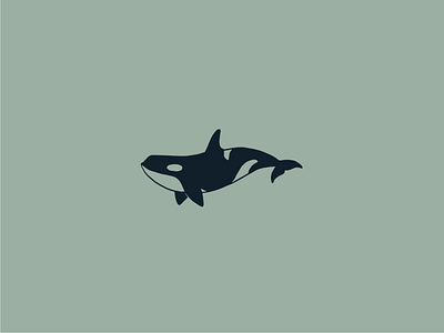Orca animal conservation illustration line minimalistic ocean orca simple whale