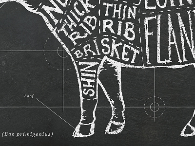 Know your Meat blackboard cow lettering meat cut