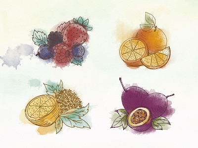 Fruit Illustrations drinks fruit illustrations photoshop restaurant watercolour