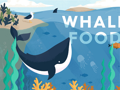 #NotWhaleFood beach illustration jellyfish ocean sea seagull vector water website whale