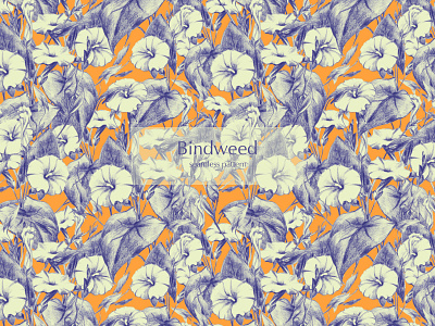 Seamless Botanical Pattern. Bindweed flower. design flower pattern flowers graphic design illustration pattern surface design