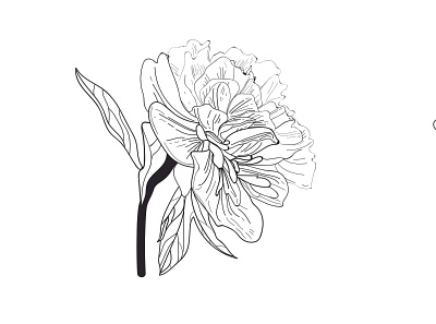Illustration adobe illustrator art flowers illustration vector