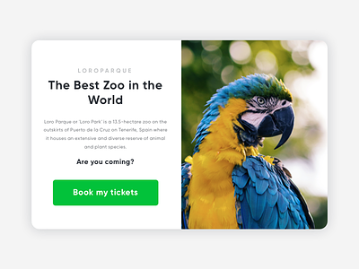 Loro Parque UI Card animals app card loro parque parrot product ui ux zoo