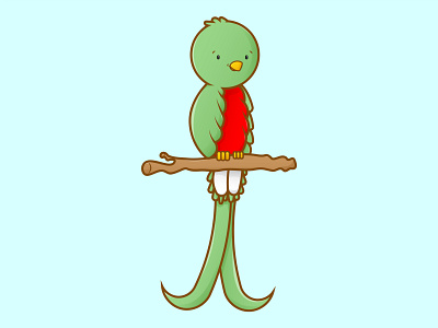 Our beautiful bird, Quetzal. 🇬🇹 adobe artist design guatemala illustration illustrator quetzal vector