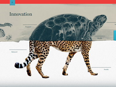 Innovation Graphic