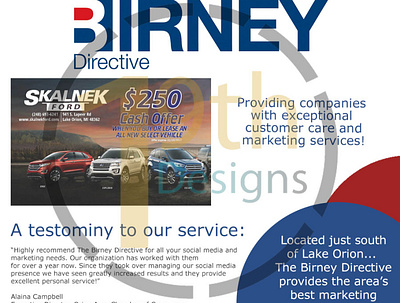 Birney Directive Web Asset adobe illustrator adobe indesign branding custom digital design illustration minimal social media socialmediamarketing web advertising web asset