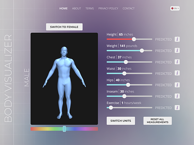 Body Visualizer Web-App Design