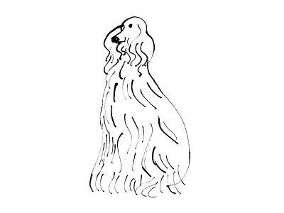 Doggies in NY animal beauty design dog drawing editorial funny illustration magazine ny