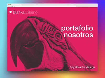 Blanka's Website desktop pink web design