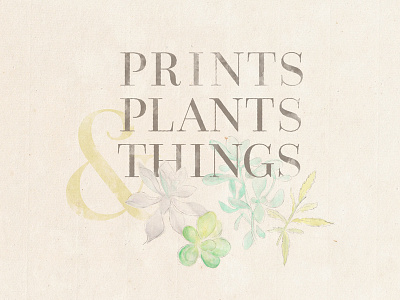 Prints, Plants & Things color sketch type