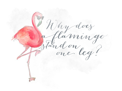 Flamiiiiiingo flamingo illustration typesetting
