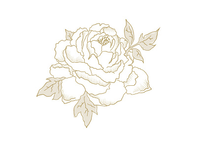 Peony Sketch