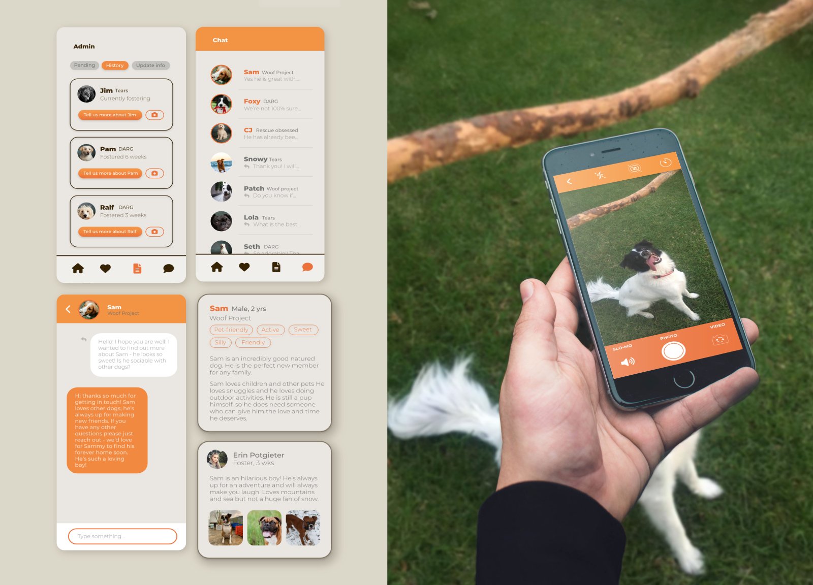 UI/UI App design: Tinder Dog adoption by Carys on Dribbble