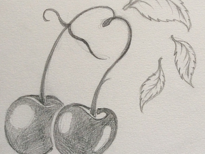 Cheeky Cherries Sketch illustration sketch