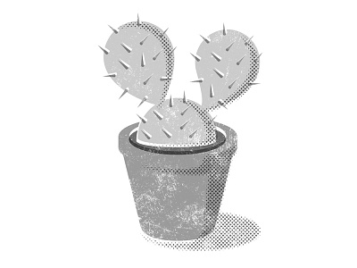 Cactus digital illustration