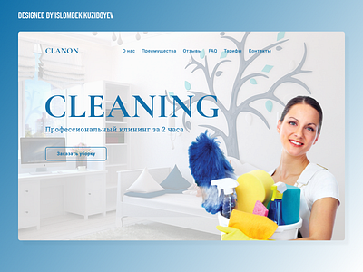 CLEANING COMPANY LANDING PAGE