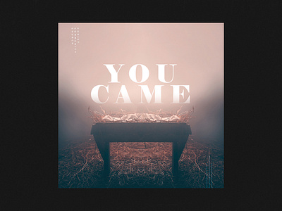 YOU CAME