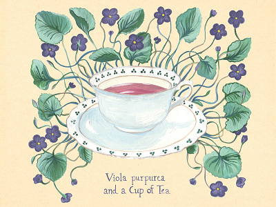 Cup of tea botanical illustration vintage