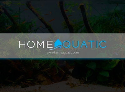 Home Aquatic Logo Design branding design logo