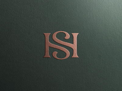 HS Logo Design