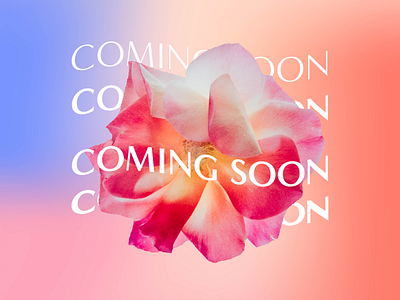 Portfolio updates coming soon! branding collage comingsoon design flowers gradient graphicdesign illustration logo photoshop smallbiz smallbusiness typography web