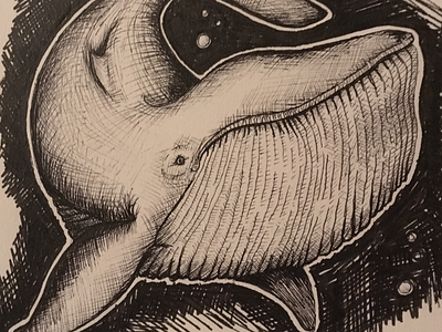 Whale design illustration pen and ink