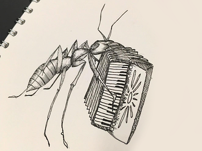 Ant plays the Accordian illustration pen and ink sketch