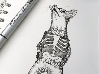 X is for Fox.. and X Ray animals illustration pen and ink sketch