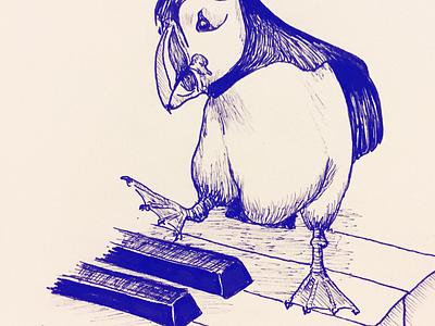 Puffin animals illustration pen and ink sketch