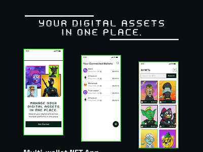 Multi-Wallet NFT App