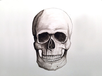Skull Illustration hand drawn illustration ink wash pen skull