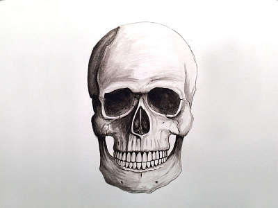 Skull Illustration