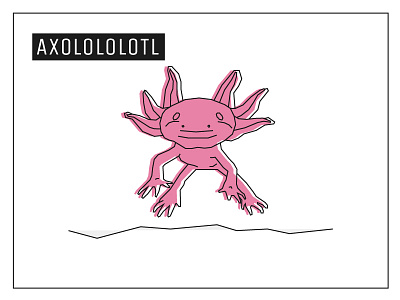 Day 10 – Axolotl