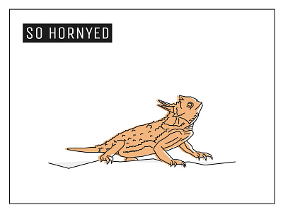 Day 18 – Horned Lizard