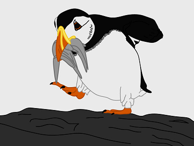 Day 26 – Puffin