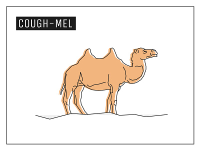 Day 29 – Camel