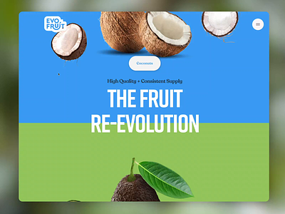 Evofruit Website avocado brand design branding coconut evofruit fruit idenity limes mango tropical fruit website design
