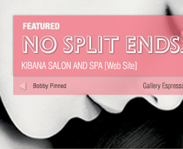 ikhan design banner area condensed gill sans helvetica pink portfolio salon shadow slideshow web