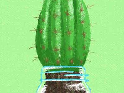Daily Warmup: Cactus cactus illustration plant warmup