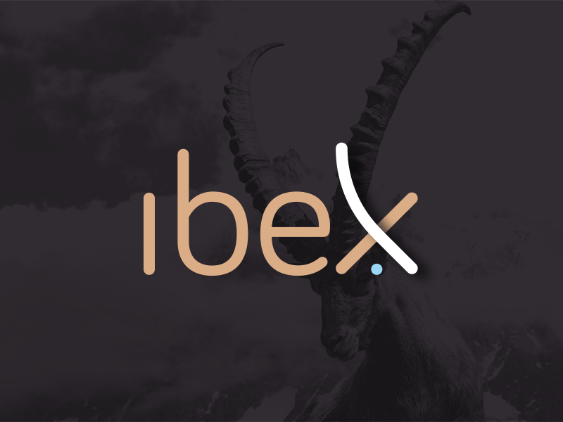 Ibex branding blue branding goat gold graphic design ibex logo mark wordmark x