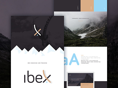 Brand development blue branding goat gold graphic design guidelines ibex logo mark wordmark x
