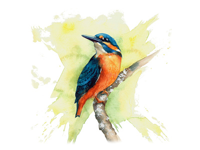 WINGED LIVE | Encyclopedia book concept about birds bird book branding design encyclopedia graphic design illustration logo ui