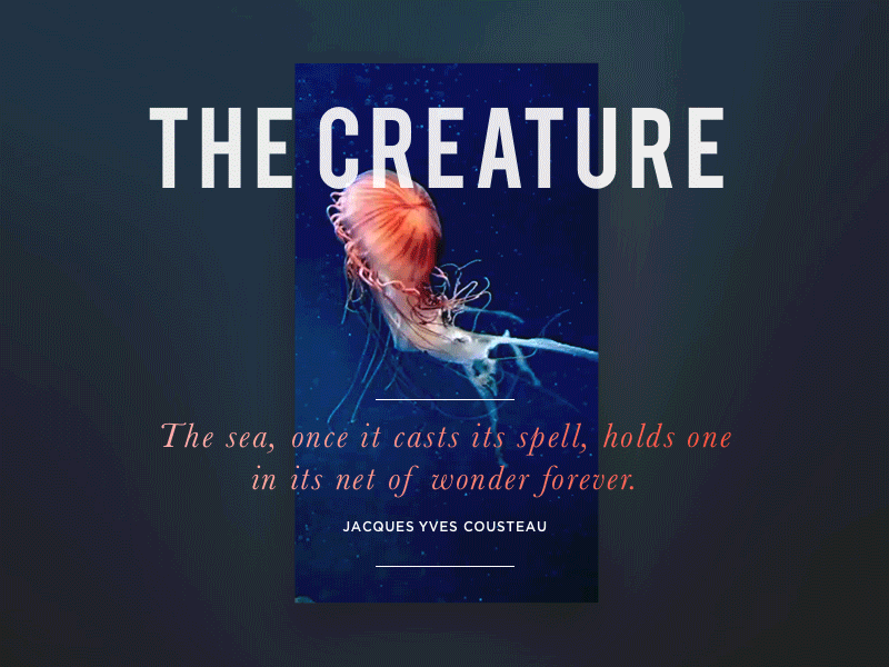 The Creature cassoulet ux ui iphone web gif 30minutes animation challenge fun