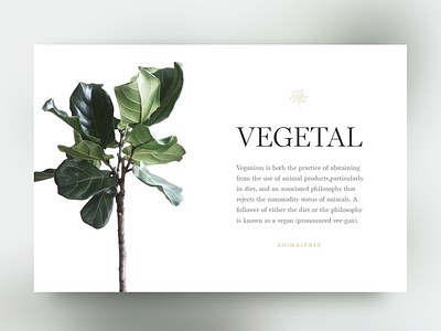 Vegan article blog design mood ui ux vegan vegetal